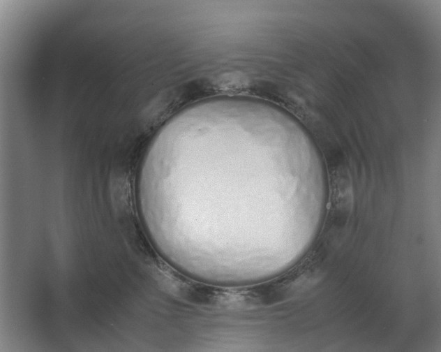 X0000062880523200601271625