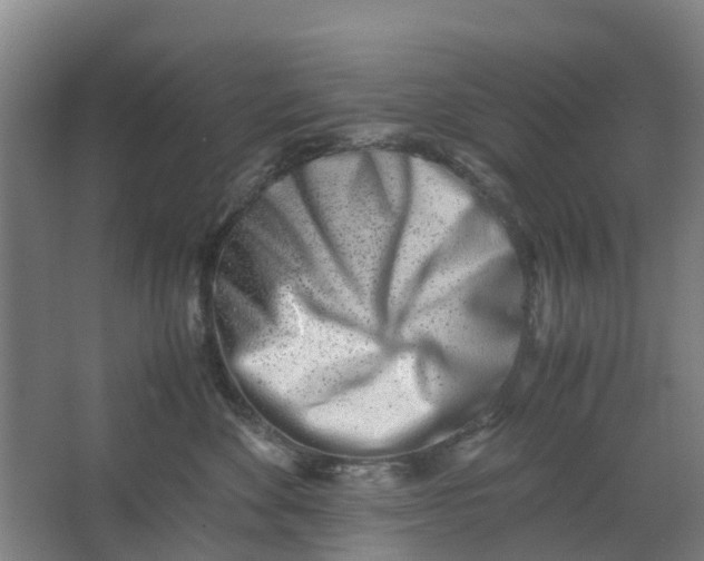 X0000062880524200601271625