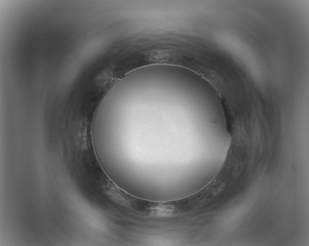 X0000062880525200601271625