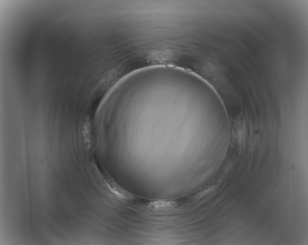 X0000062880526200601271625