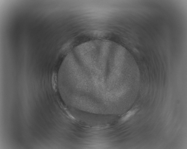 X0000062880528200601271625