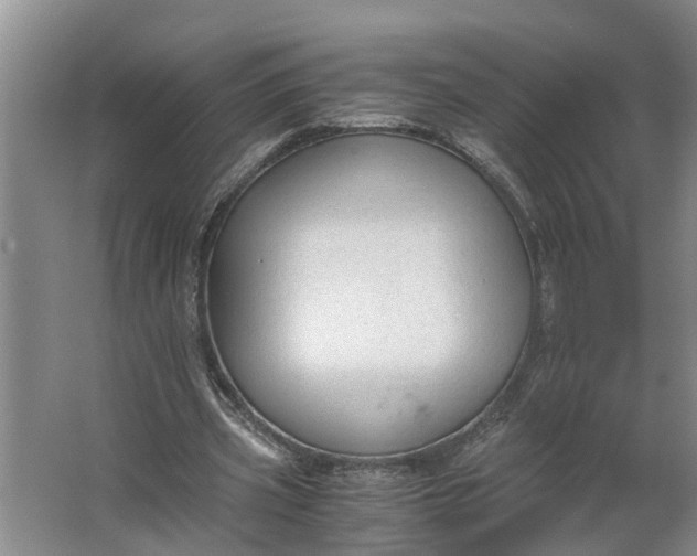 X0000062880533200601271624