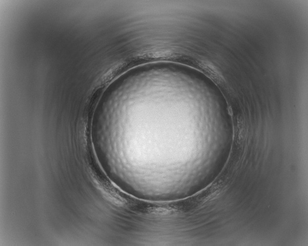 X0000062880542200601271624