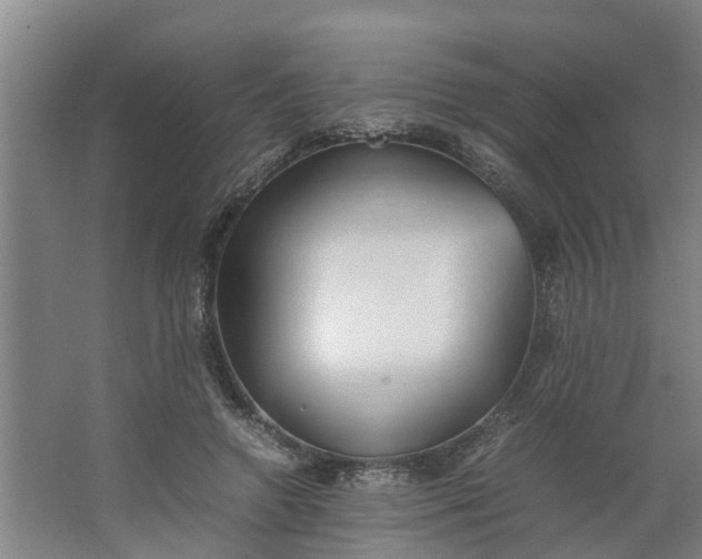 X0000062880546200601271624