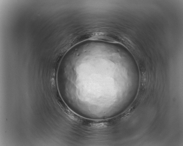 X0000062880553200601271624