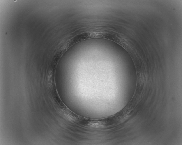 X0000062880557200601271624