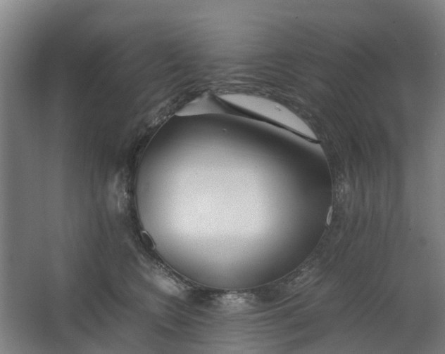 X0000062880566200601271625