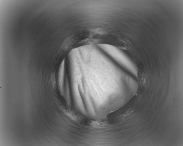 X0000062880568200601271625