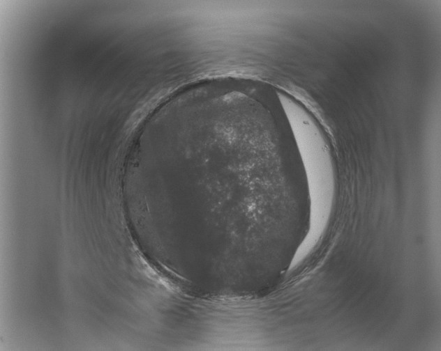 X0000062880577200601271624