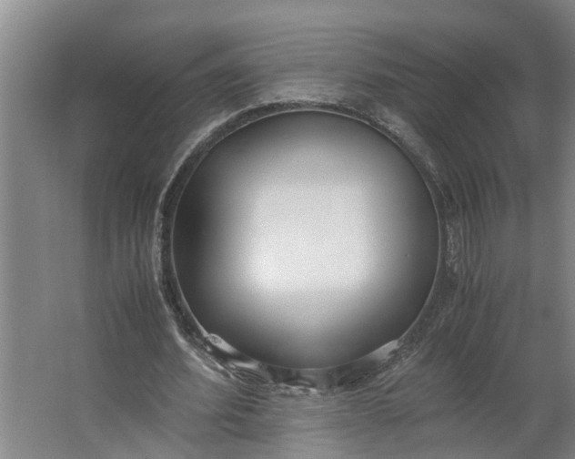 X0000062880580200601271624