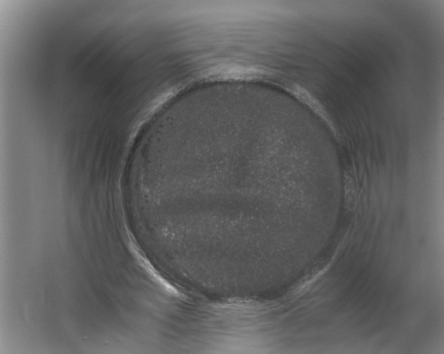 X0000062880581200601271624