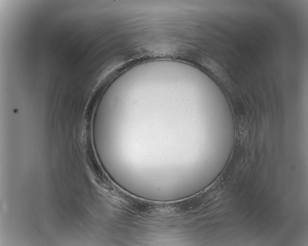 X0000062880583200601271624