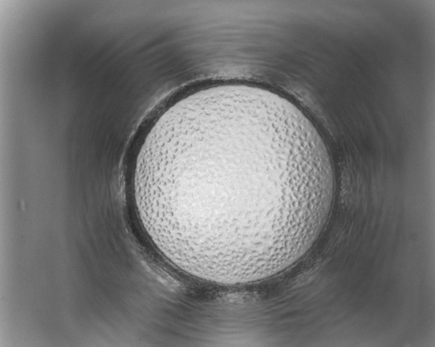 X0000062880584200601271624