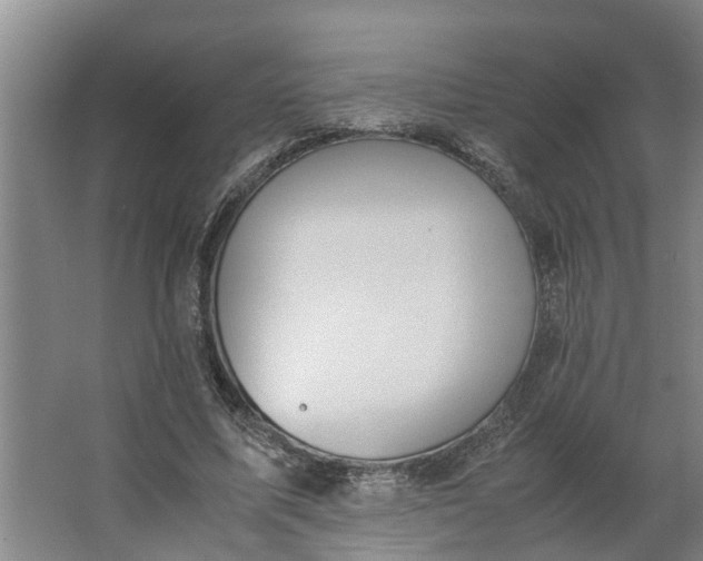 X0000062880587200601271624