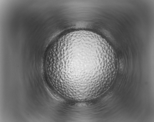 X0000062880588200601271624