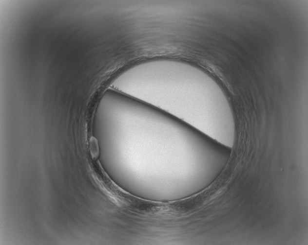 X0000062880589200601271624