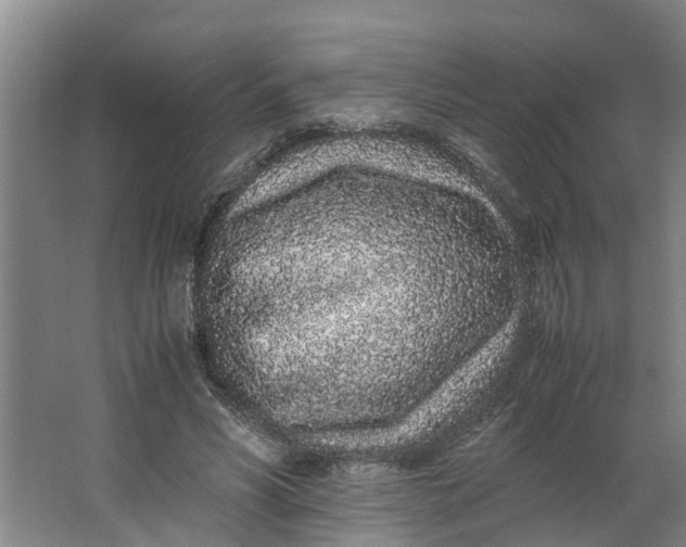 X0000062880590200601271624
