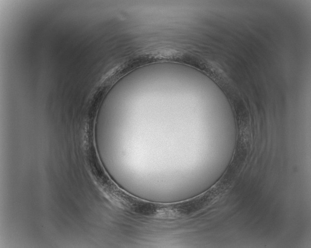 X0000062880591200601271624