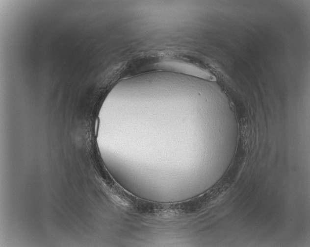X0000062880593200601271624