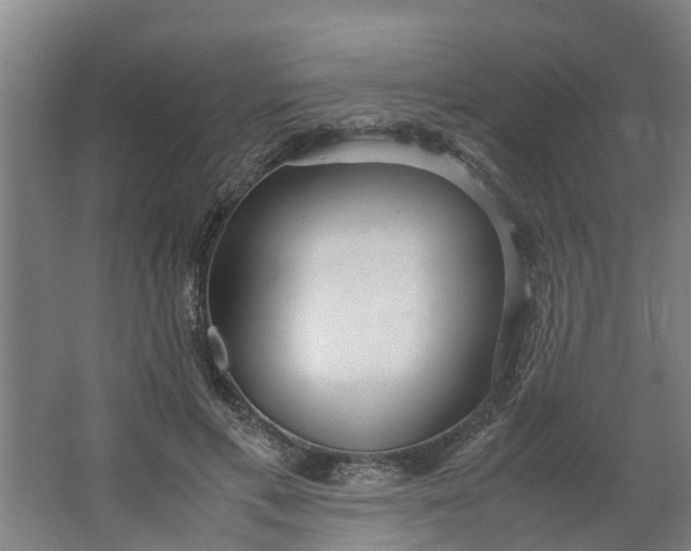 X0000062880597200601271624