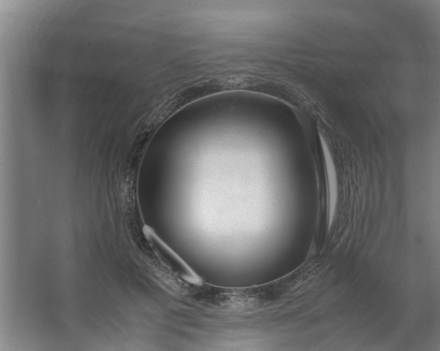 X0000062880601200601271624