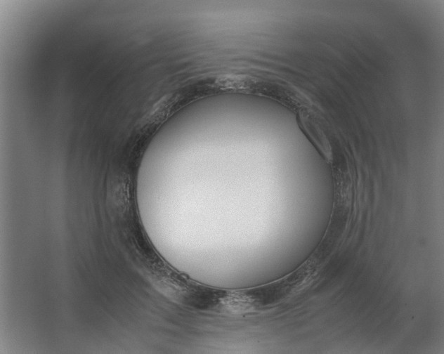 X0000062880603200601271624