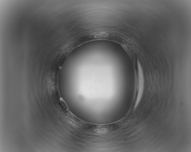 X0000062880604200601271623