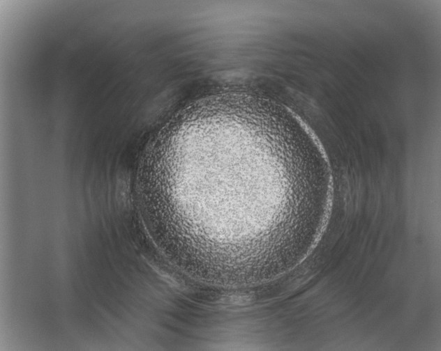 X0000062880610200601271623