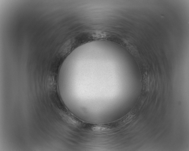 X0000062880614200601271623