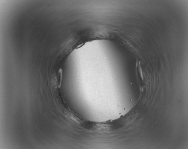 X0000062880617200601271623