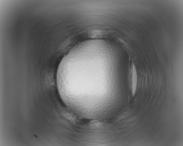 X0000062880620200601271623