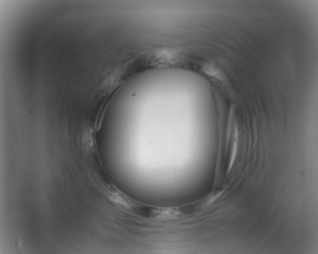 X0000062880621200601271623