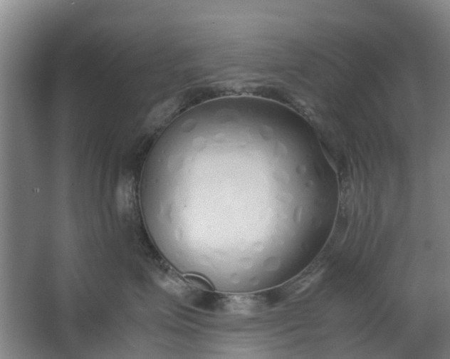 X0000062880623200601271623