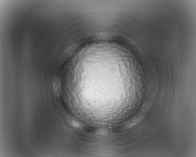 X0000062880624200601271623