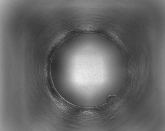 X0000062880635200601271623