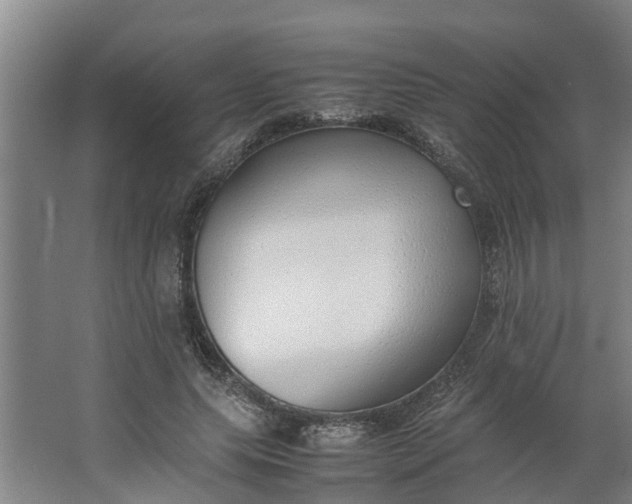 X0000062880639200601271623