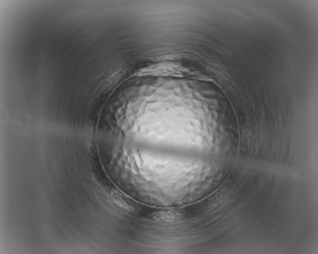 X0000062880652200601271623