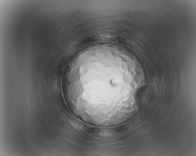 X0000062880663200601271623