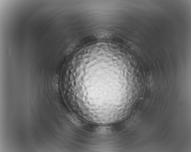 X0000062880664200601271623