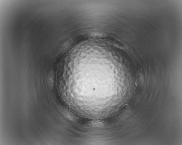 X0000062880668200601271623