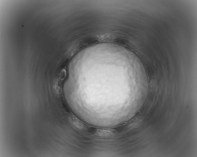 X0000062880671200601271623