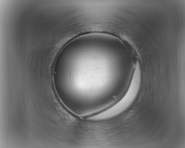 X0000062880673200601271622