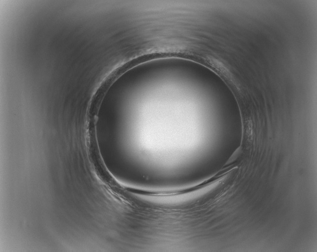 X0000062880676200601271622