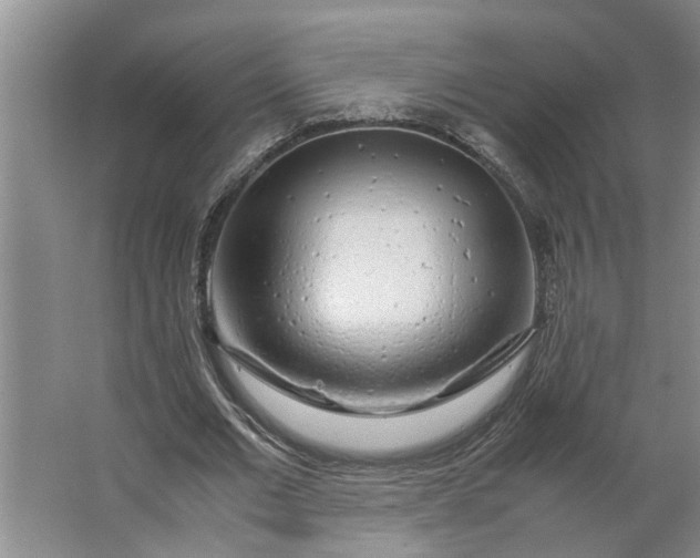 X0000062880677200601271622