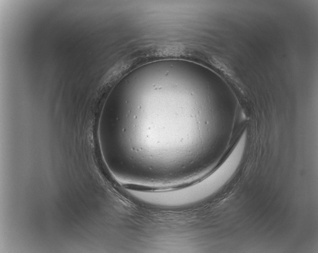 X0000062880681200601271622