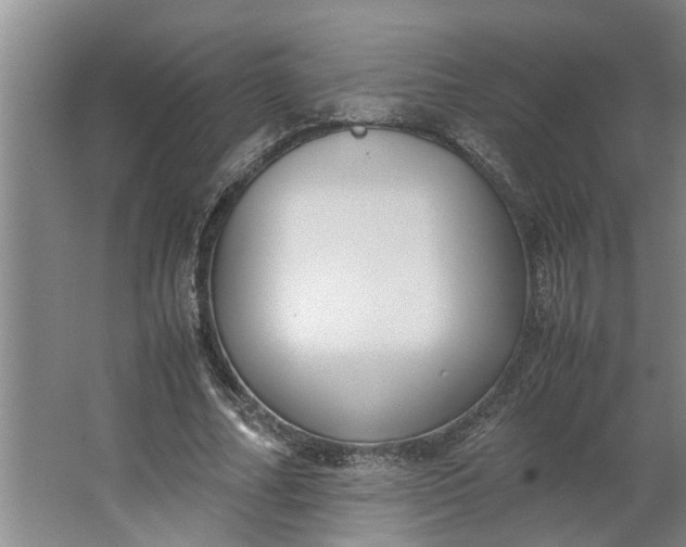 X0000062880682200601271622