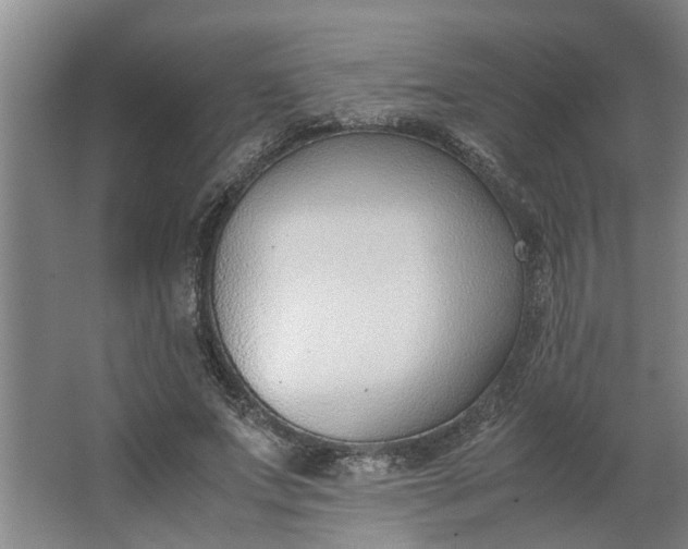 X0000062880687200601271622
