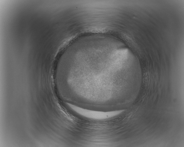 X0000062880688200601271622