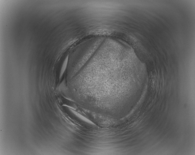 X0000062880692200601271622