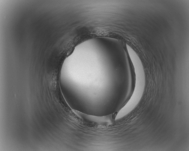 X0000062880697200601271622